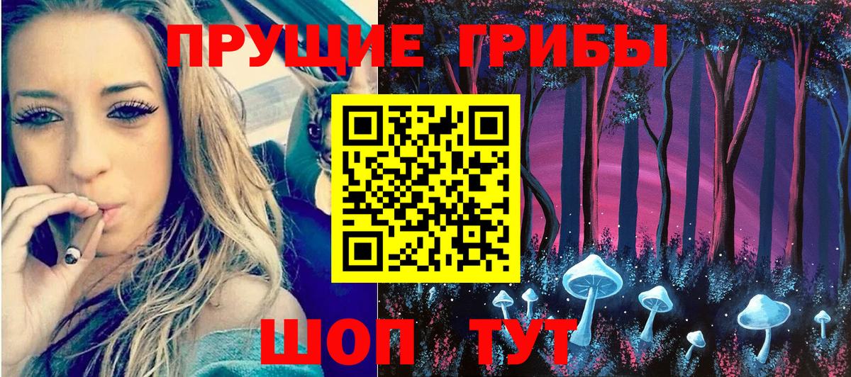Кузнецк  закладка  Вход с VPN  Галлюциногенные грибы ЛСД  Галлюциногенные грибы Cubensis 