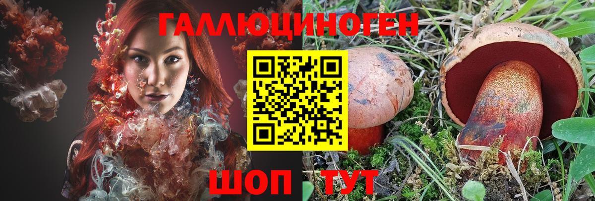 Галлюциногенные грибы Cubensis Кузнецк